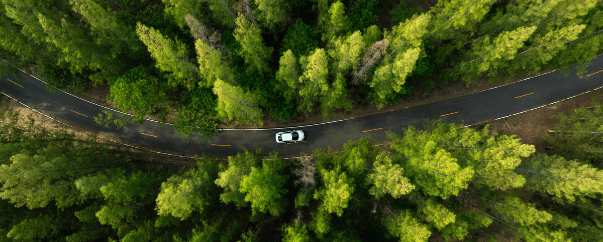 Referenzprojekt Nexen: PERFORMANCE DRIVE